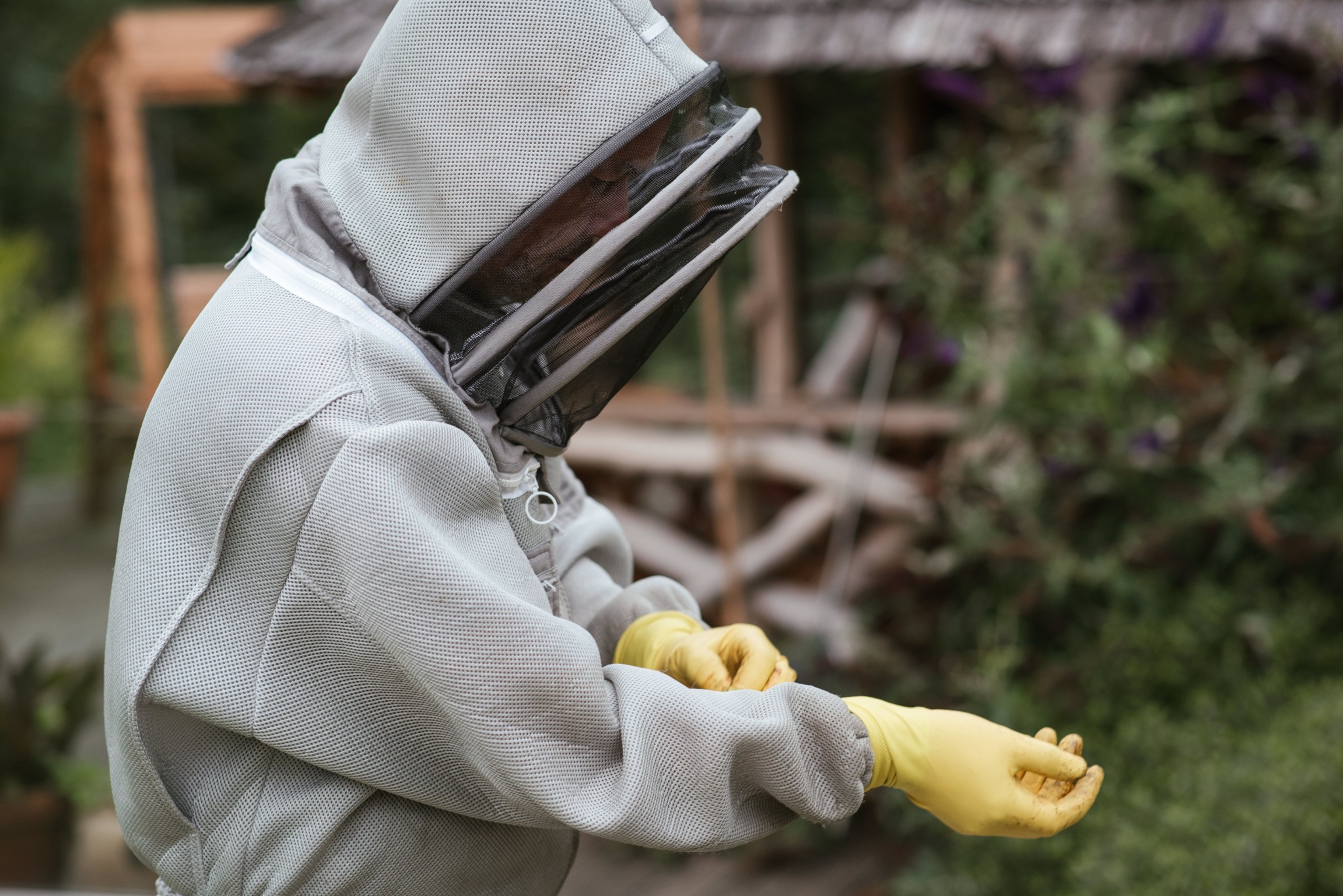 Beekeeper working with protective equipment